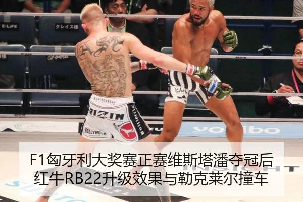 xiong-ya-li-da-jiang-sai-zheng-sai-wei-si-ta-pan-duo-guan-hou-hong-niu-sheng-ji-xiao-guo-yu-lei-ke-lai-er-zhuang-che-3-546.jpg